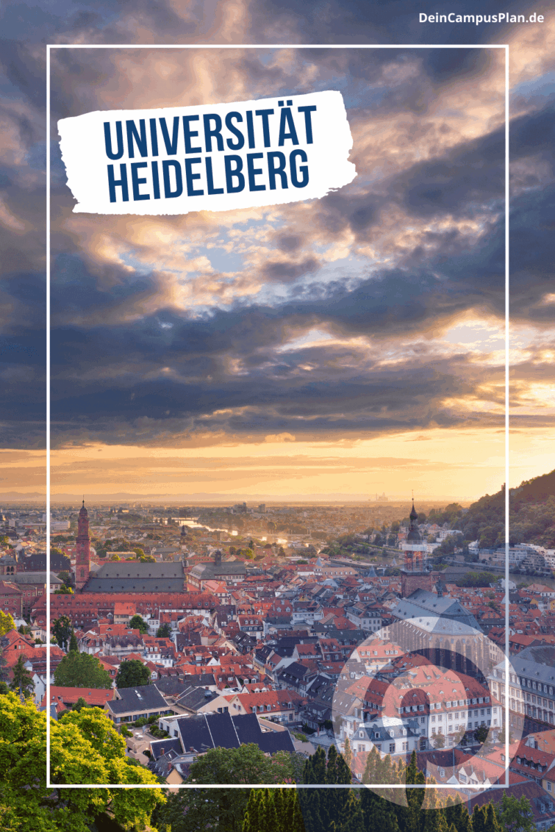 Studienwahl Uni Heidelberg Infografik: Kompletter Schritt-für-Schritt Guide für Abiturienten 2025 mit Entscheidungshilfen und Bewerbungstipps