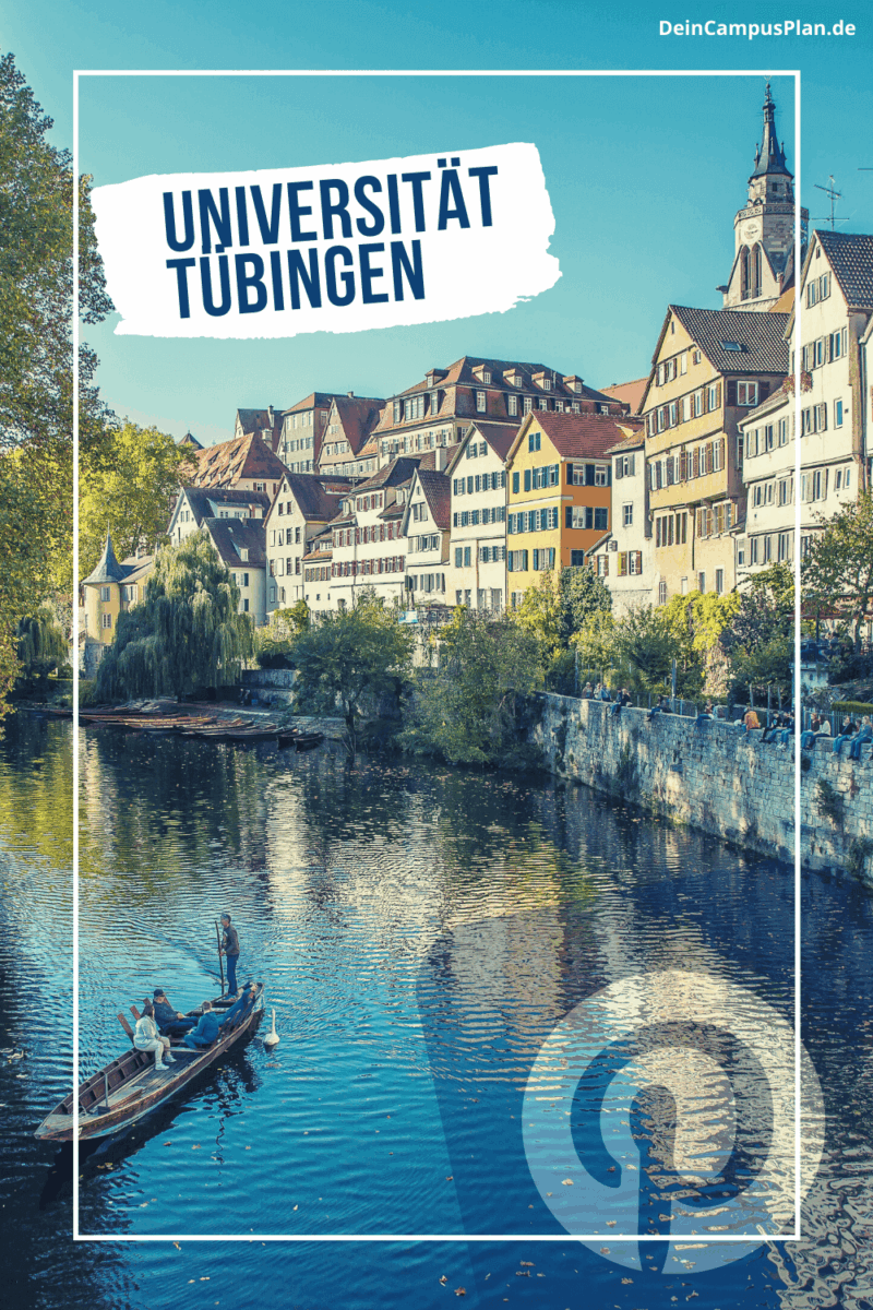 Studienwahl Leitfaden Universität Tübingen 2025: Visualisierung von Entscheidungspfaden für angehende Studierende mit Beispielen und Orientierungshilfen