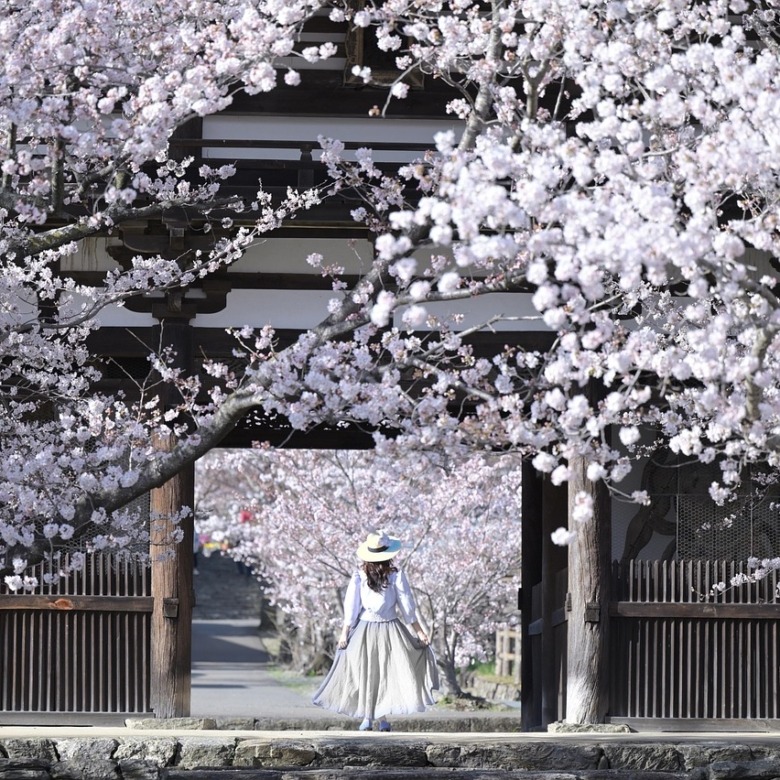 Erfahrungsberichte Auslandssemester – Keio University, Tokio, Japan