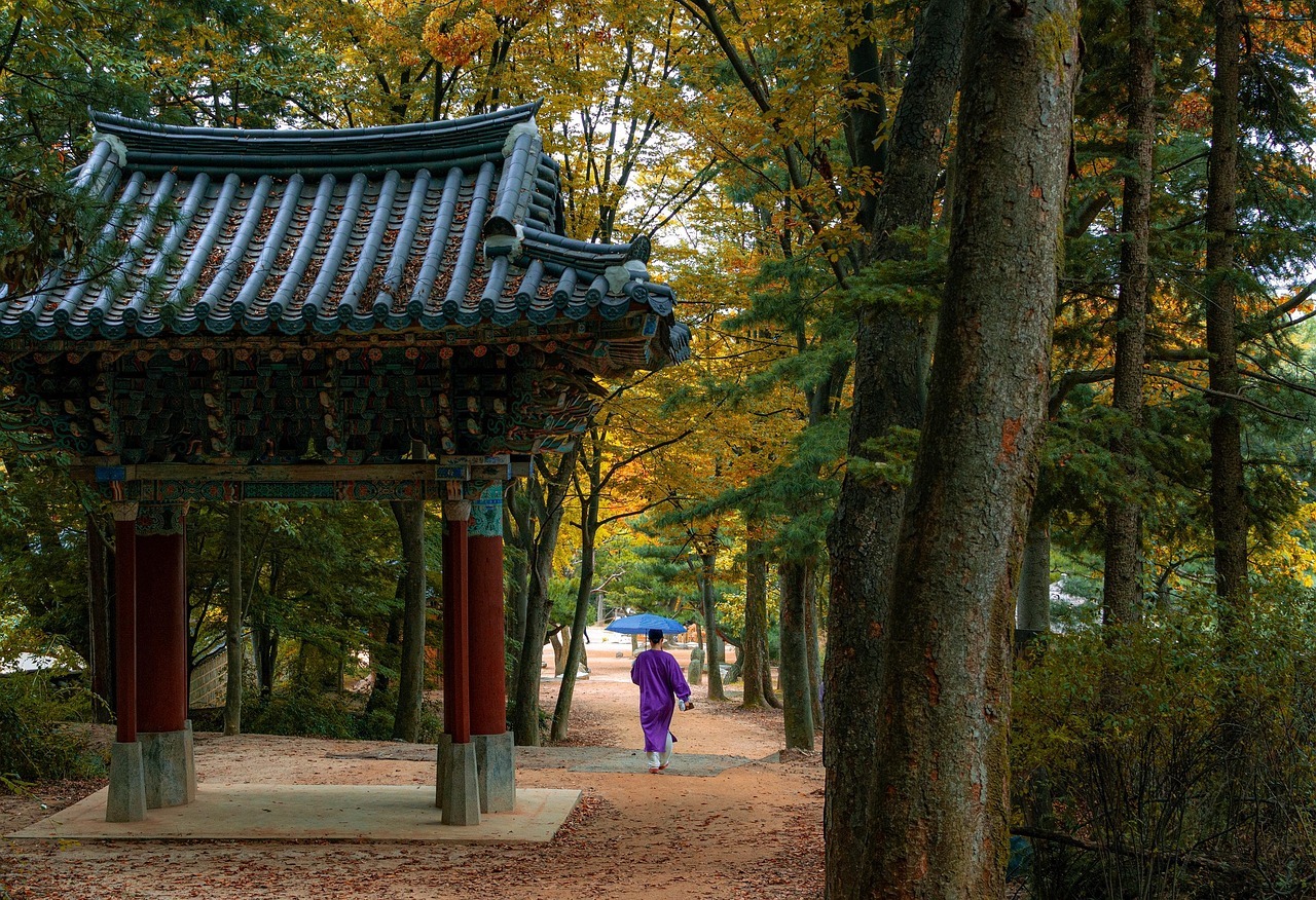 Seoul Stadtansicht – Auslandssemester an der Korea University