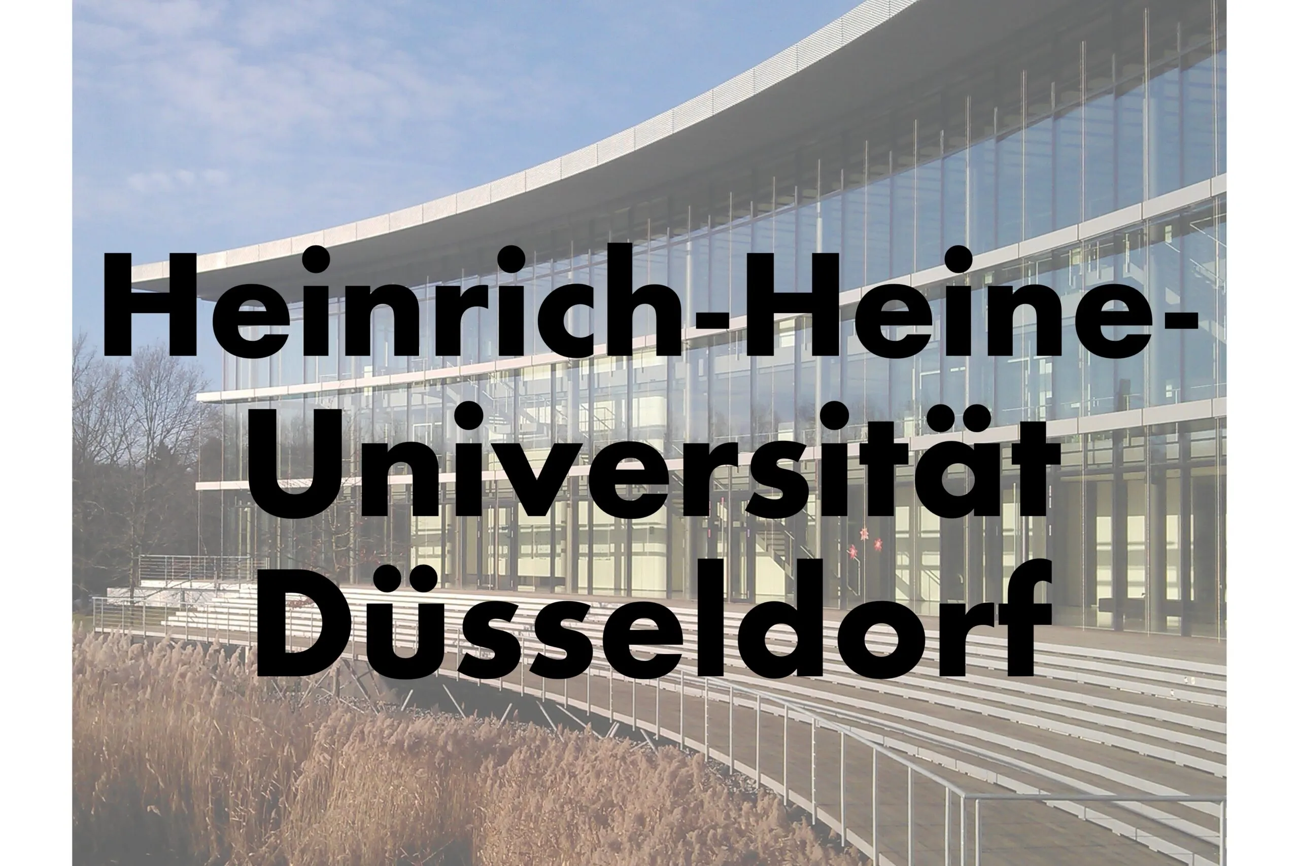Universität Düsseldorf
